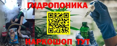 прущие грибы Новозыбков