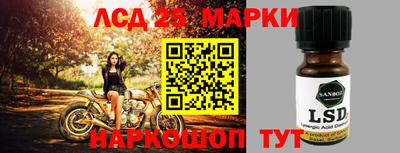 прущие грибы Новозыбков