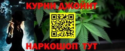прущие грибы Новозыбков