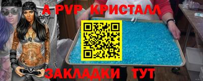 прущие грибы Новозыбков