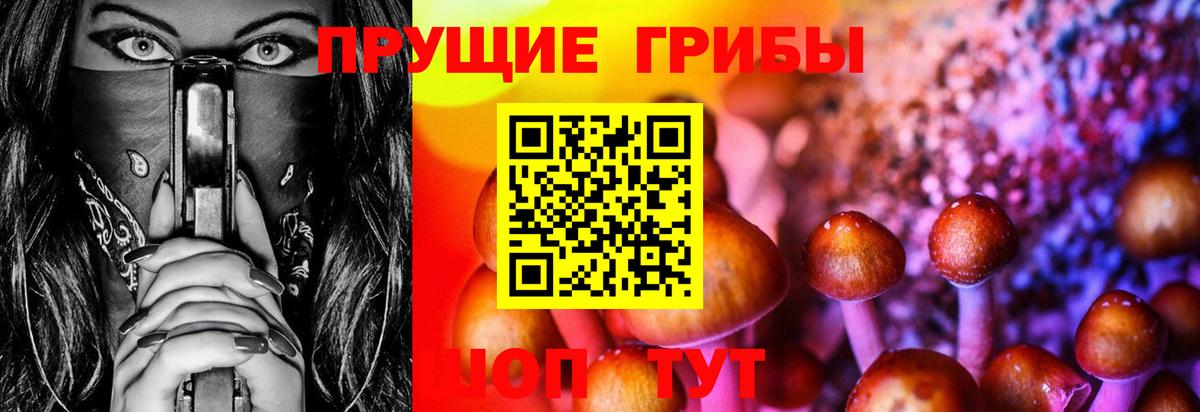 Галлюциногенные грибы мицелий Рославль